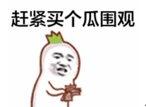 群众吃瓜系列视频片段,揭秘热门视频背后的故事