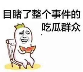 瓜哥吃瓜吐槽网文视频,揭秘网络热点背后的真相与笑料