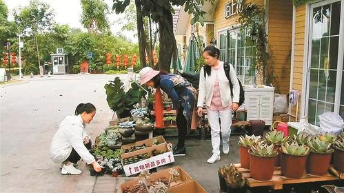 花店顾客吃瓜事件视频,一场意外的甜蜜误会