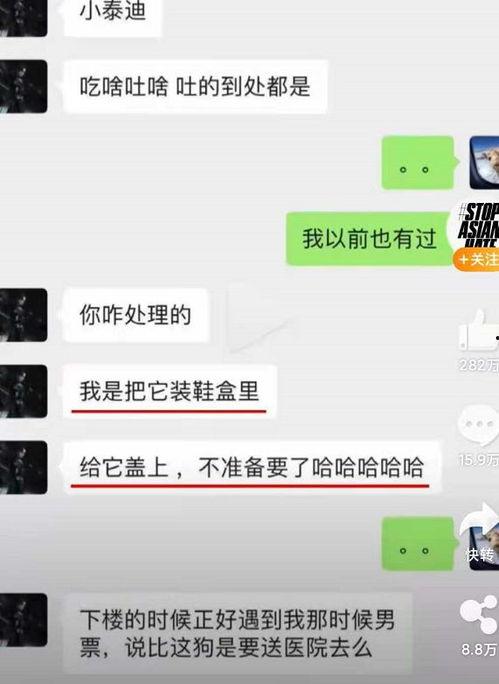 假吃瓜视频骗好友,好友间骗局的背后真相