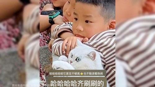 吃瓜小孩吵架视频大全集,童言无忌，笑料百出