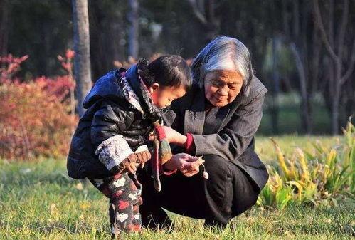 奶奶打架孙子吃瓜视频在线观看,这场家庭闹剧引网友热议